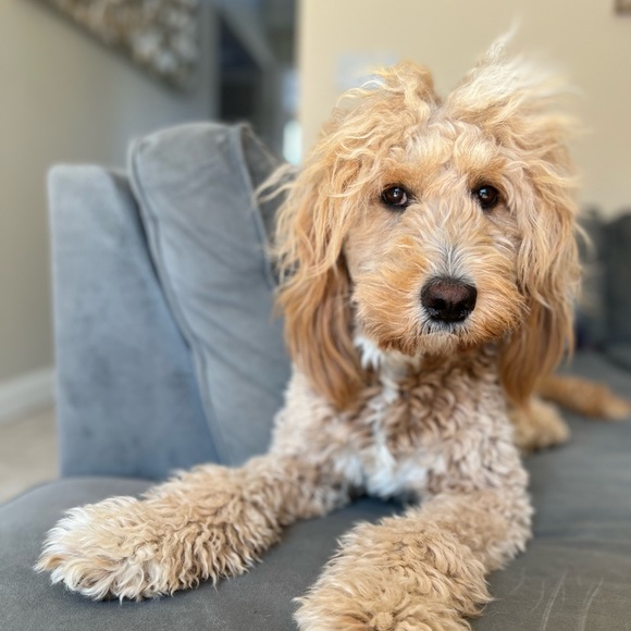 Meet your Posher, Erin - Picture 2 of 2